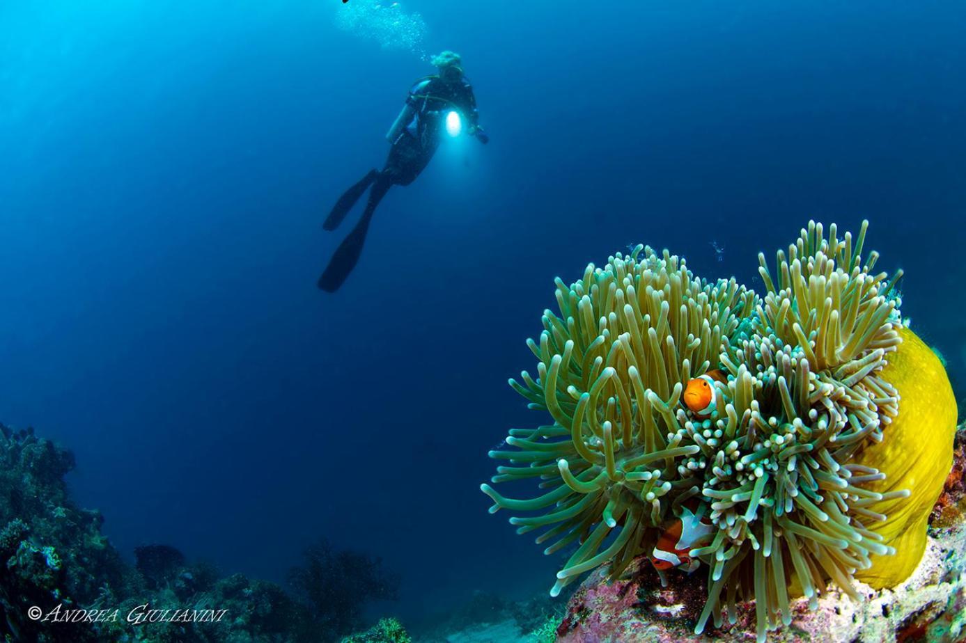 サンセット コーブ ビーチ アンド ダイブ リゾート Romblon エクステリア 写真